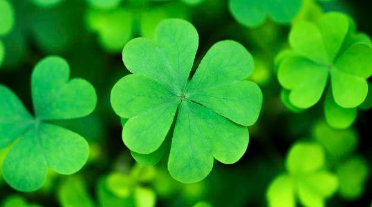 It’s all about connecting the dots – interview with Christian Busch